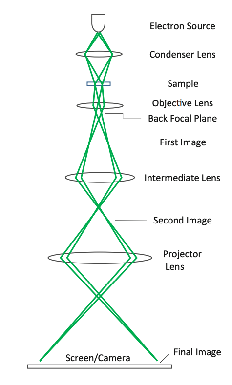 Diagram of a basic TEM